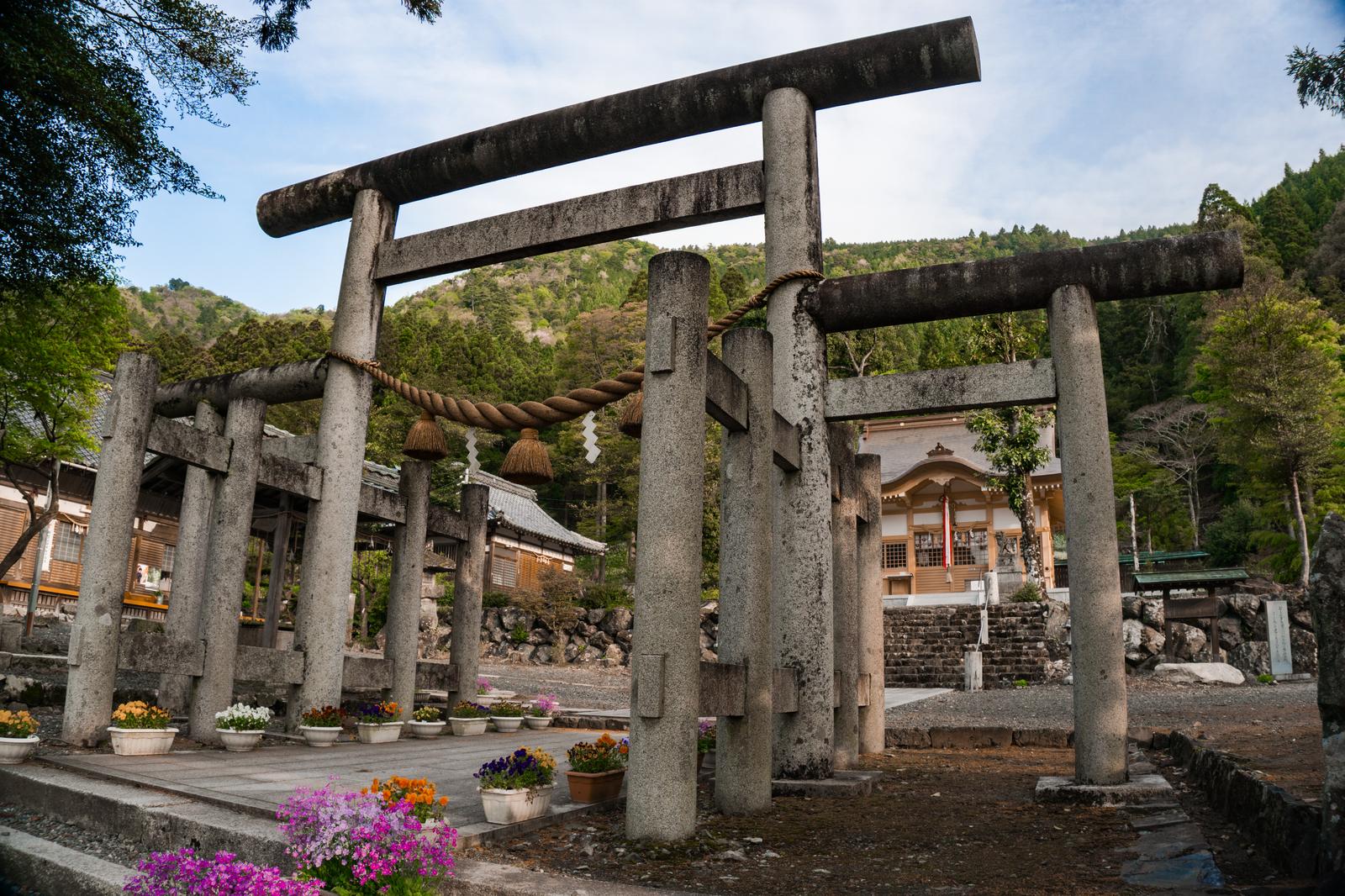 苔が付着した石造の伊香式鳥居と、奥に見える伊香具神社の本殿