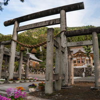 大神神社の三輪式鳥居と厳島神社の厳島式の鳥居が合わさった珍しい伊香式鳥居の姿の写真