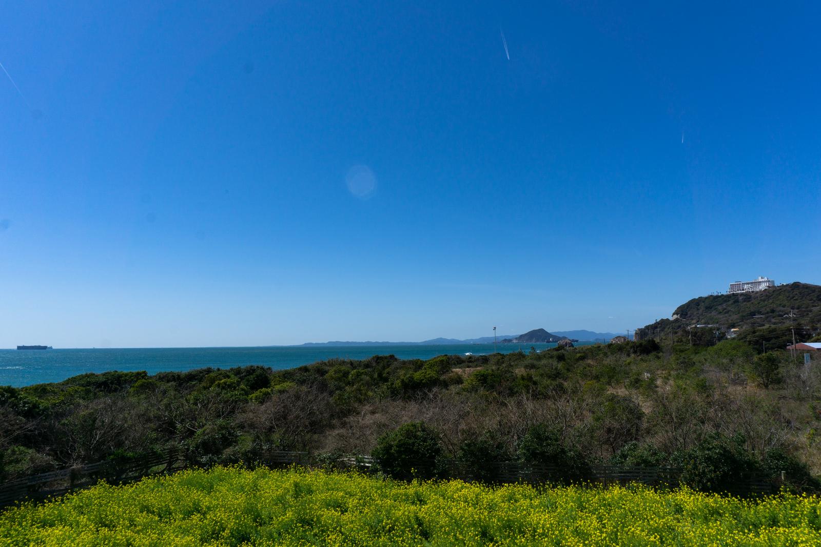 黄緑色の菜の花畑の向こうに広がる青い海と空