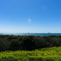 伊良湖の菜の花畑展望台から見る春の太陽に輝く太平洋の写真