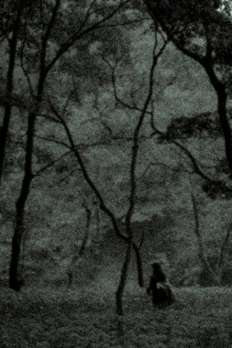樹海の暗い林の中で立つ人影のモノクロ写真