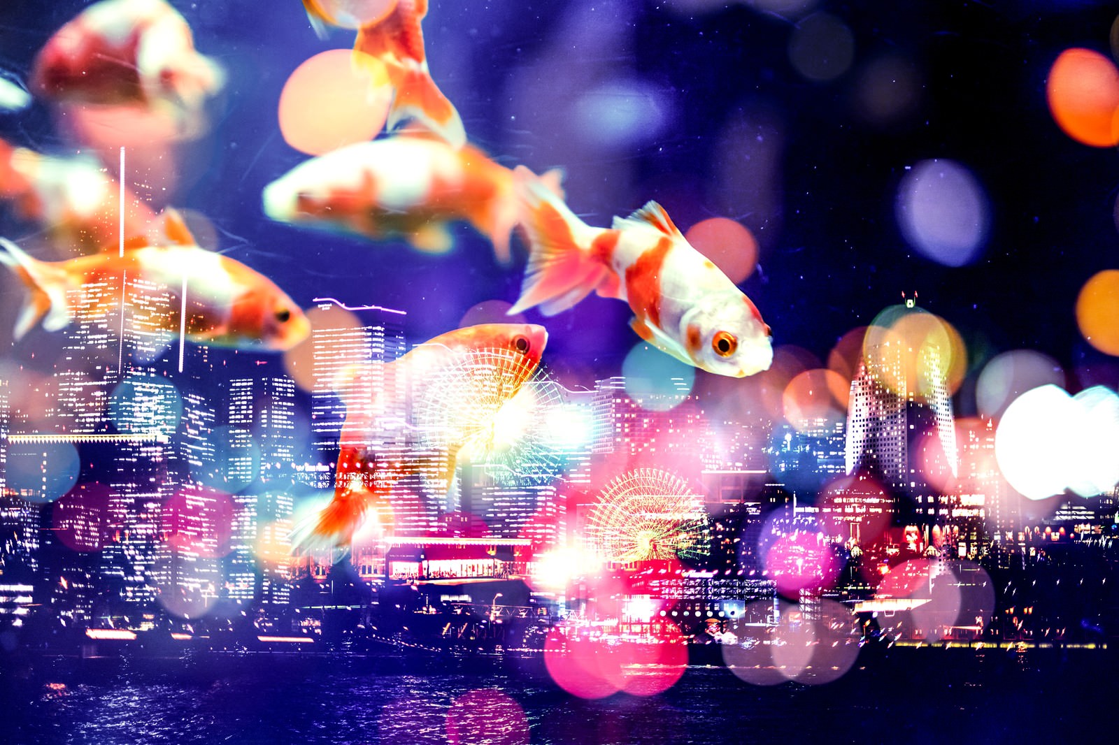夜景の高層ビル群を背景にオレンジの金魚が泳ぐ合成写真