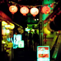 酒場の裏手でにらむ路地裏の猫の写真