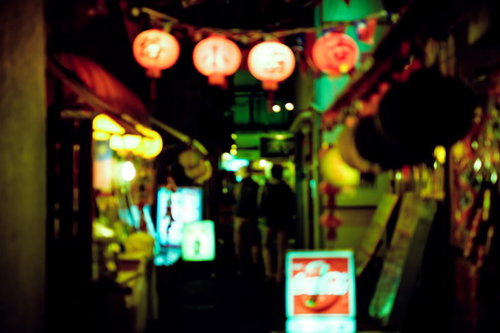 酒場の裏手でにらむ路地裏の猫