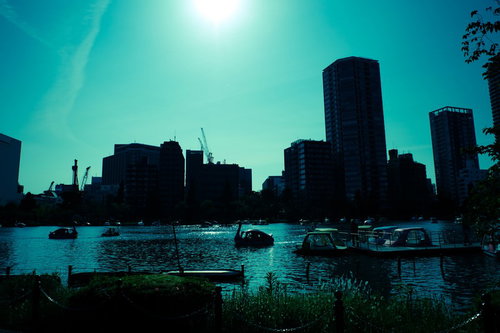 青い日差しが映る都市の池でスワンボートに乗るカップル