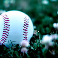 グラウンドの芝生に転がった野球の硬球と野花の風景の写真