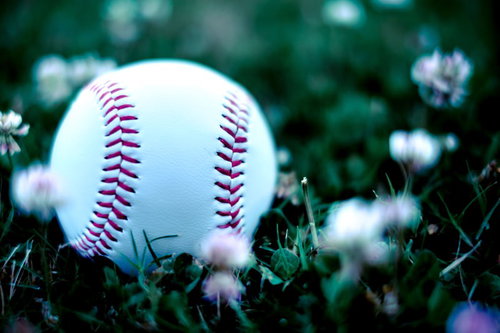 グラウンドの芝生に転がった野球の硬球と野花の風景