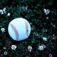 草花に囲まれた足元に転がる野球のボールの写真