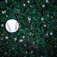 外野の野原に転がる野球ボールの写真