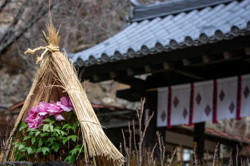 石垣庭園に広がる藁囲いと牡丹の詩情