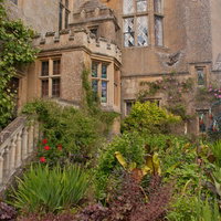 花や低木が植えられた石壁に囲まれたスードリー城の庭の写真