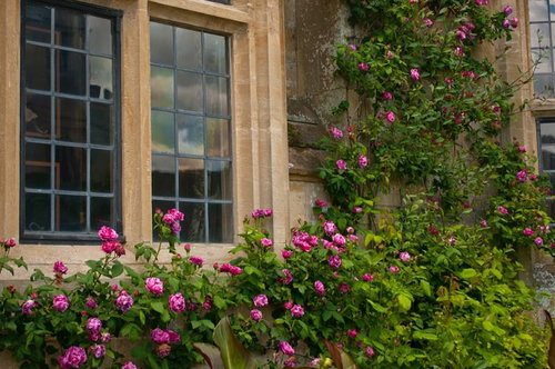 石壁に埋め込まれた格子窓から光が差すスードリー城の古風な窓