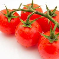 つるに付いた水滴がある赤いトマト5個の写真