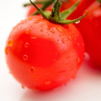 水滴が付いた緑のヘタの赤いトマト2個の写真