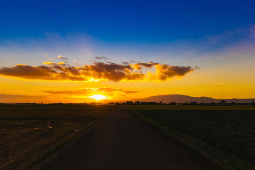 大刀洗の田んぼに沈む夕陽と夕焼け空