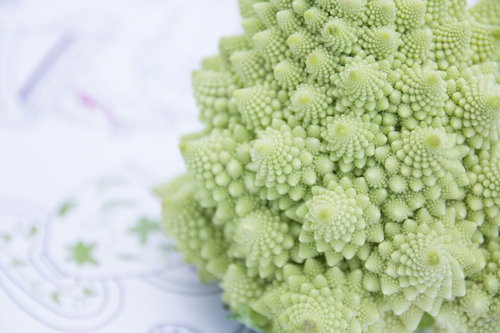 ロマネスコの断面に見える規則的な小花の房