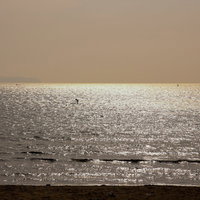 夕焼けが光る海の風景。砂浜と波打つ水面の逆光シルエットの写真
