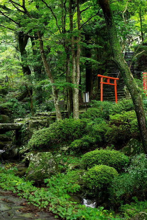 苔むした木々と石段の奥に見える赤い鳥居の森の神社