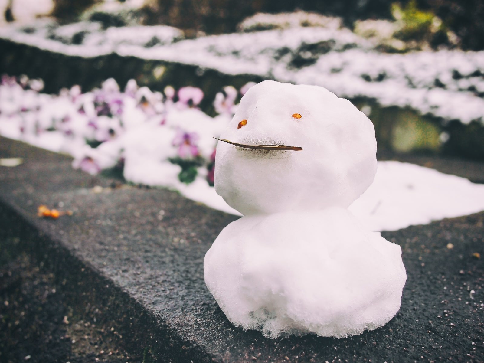 屋外の舗装地面にオレンジの目と枝の口の小さな雪だるま