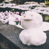 屋外の舗装地面にオレンジの目と枝の口の小さな雪だるまの写真
