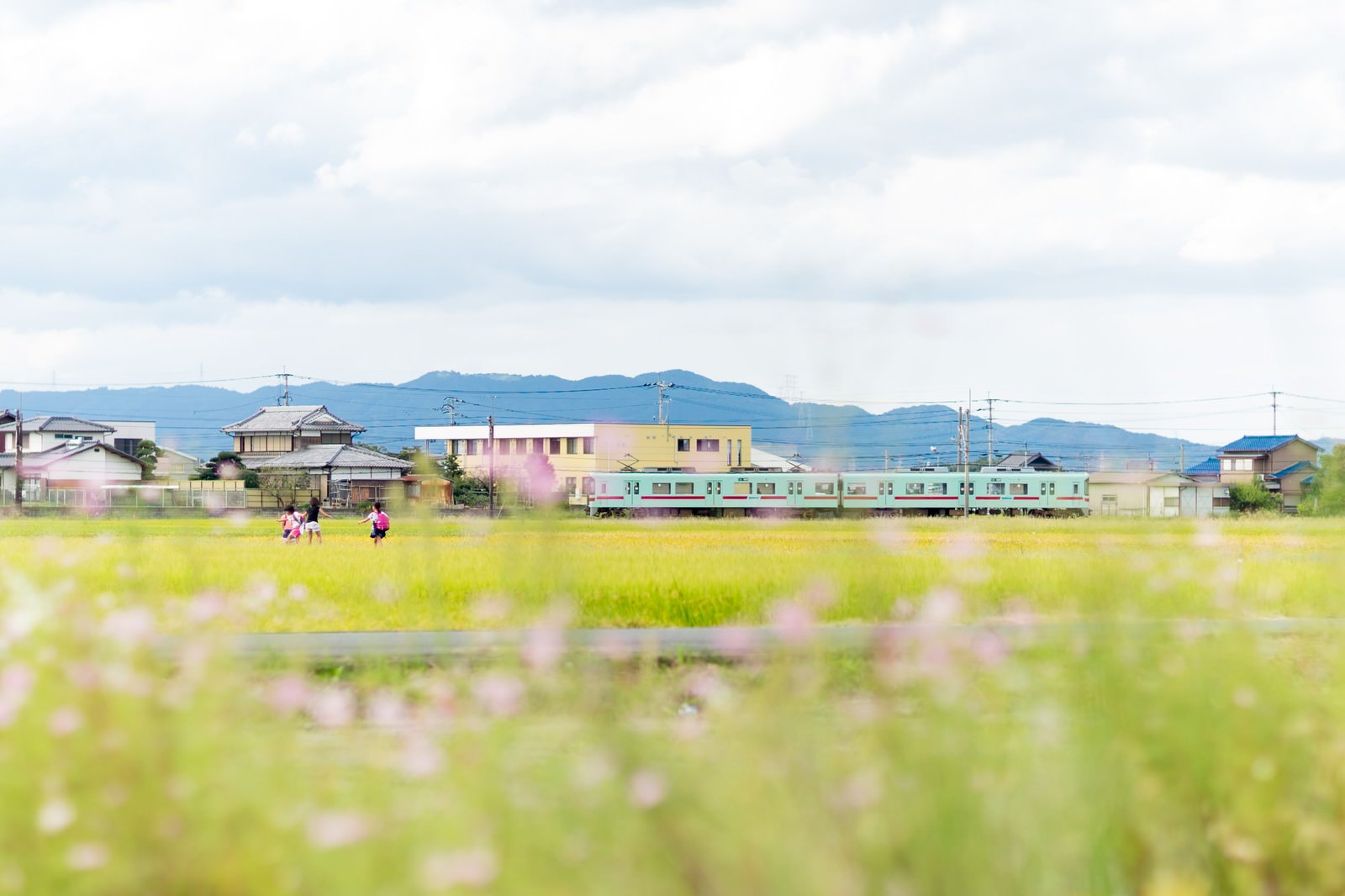 西鉄甘木線の電車と春の田園風景（福岡県大刀洗町）の写真素材