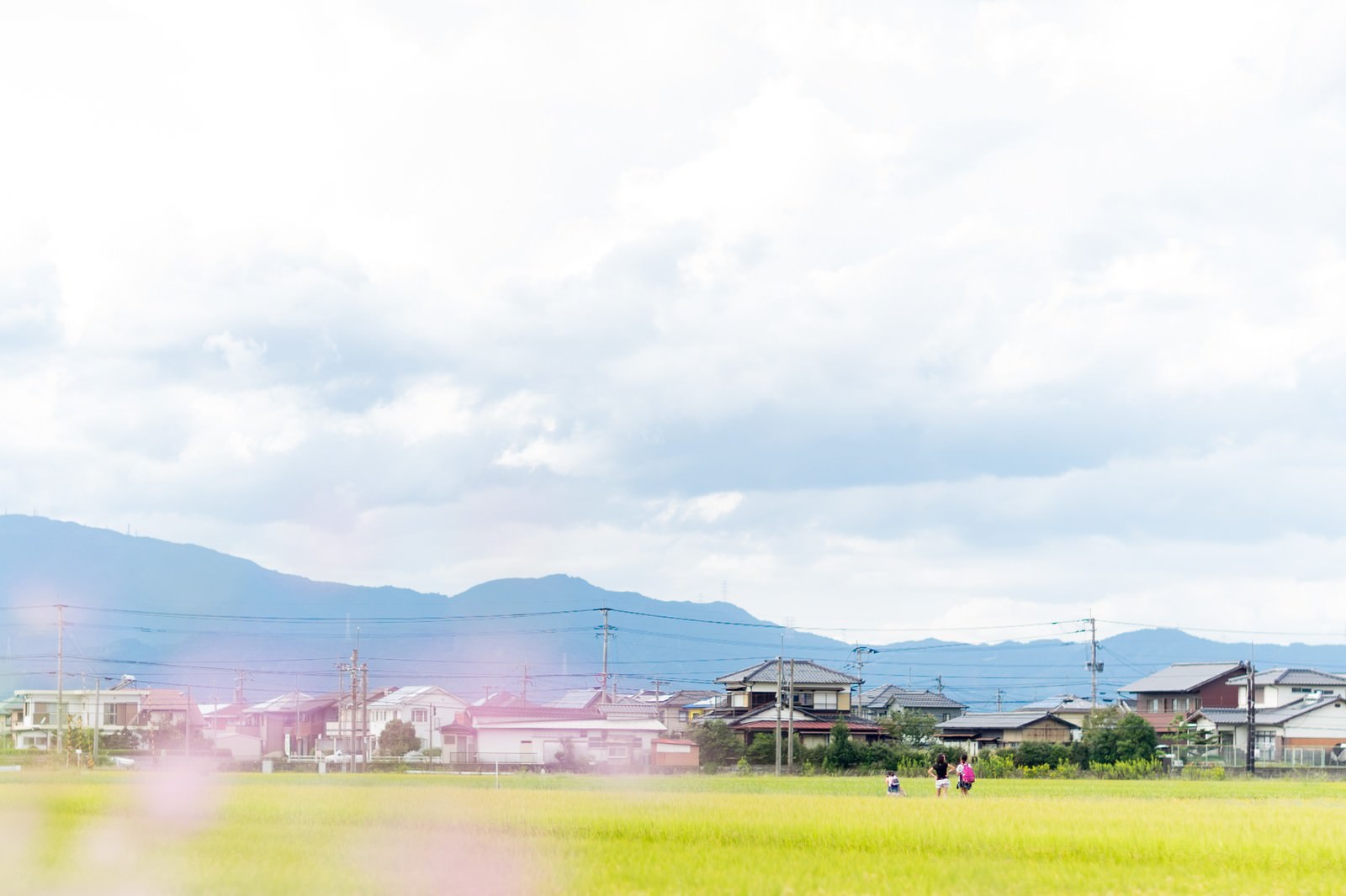 田んぼ道を下校する小学生たち