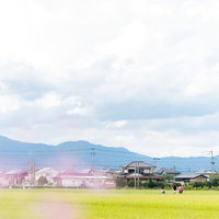 田んぼ道を下校する小学生たちの姿 福岡県大刀洗町の写真