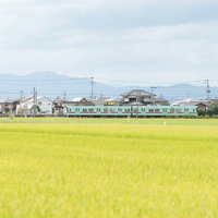 大刀洗町の緑の田園の中を走る西鉄甘木線の電車の写真