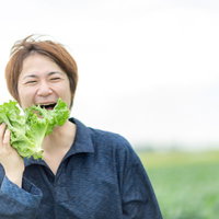大刀洗で採れたたばかりのサニーレタスを頬張る農夫の写真