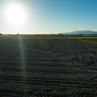 大刀洗町の朝日が昇る農地と田畑の風景の写真