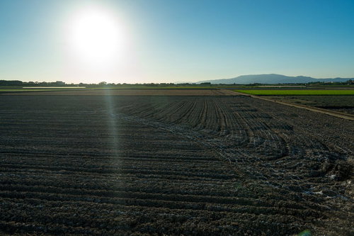 大刀洗町の朝日が昇る農地と田畑の風景