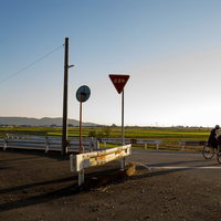 夕暮れ時、田舎道を下校する自転車の中学生の写真