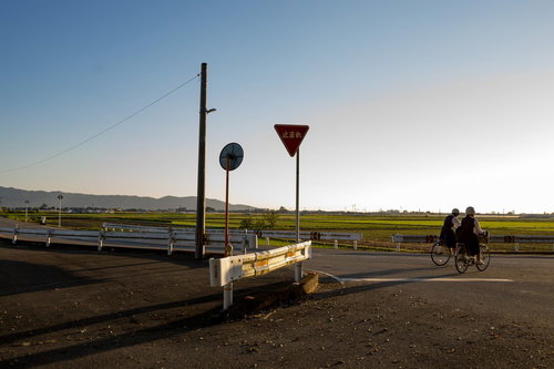 夕暮れ時、田舎道を下校する自転車の中学生