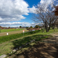 大刀洗公園内の広々とした芝生と小川の風景の写真
