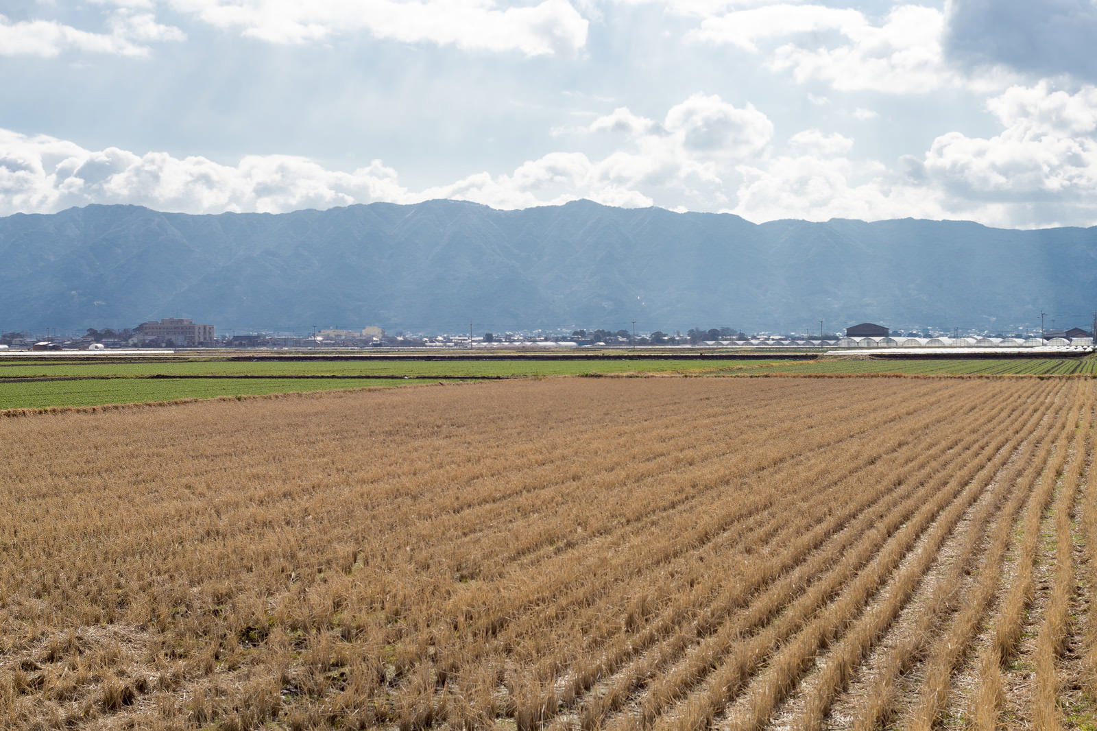 稲刈りが終わった茶色い田んぼと遠くに見える山々の風景