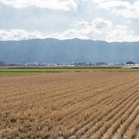 稲刈りの終わった大刀洗町の田んぼと山々の秋風景の写真