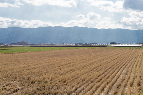 稲刈りの終わった大刀洗町の田んぼと山々の秋風景