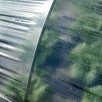 大刀洗町のハウス栽培、ビニールに付いた水滴の写真