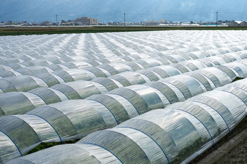 福岡県大刀洗町に広がるビニールハウス群と山並みの農業風景