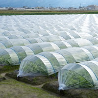 福岡県大刀洗町のビニールハウス栽培による葉物野菜農場の風景の写真
