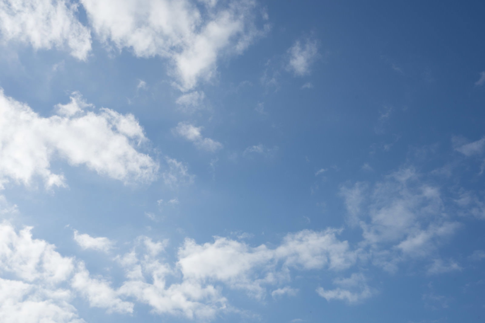 青空に広がる白い積雲の風景