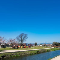 大刀洗公園の春、桜咲く青空の下で遊ぶ子どもたちの写真