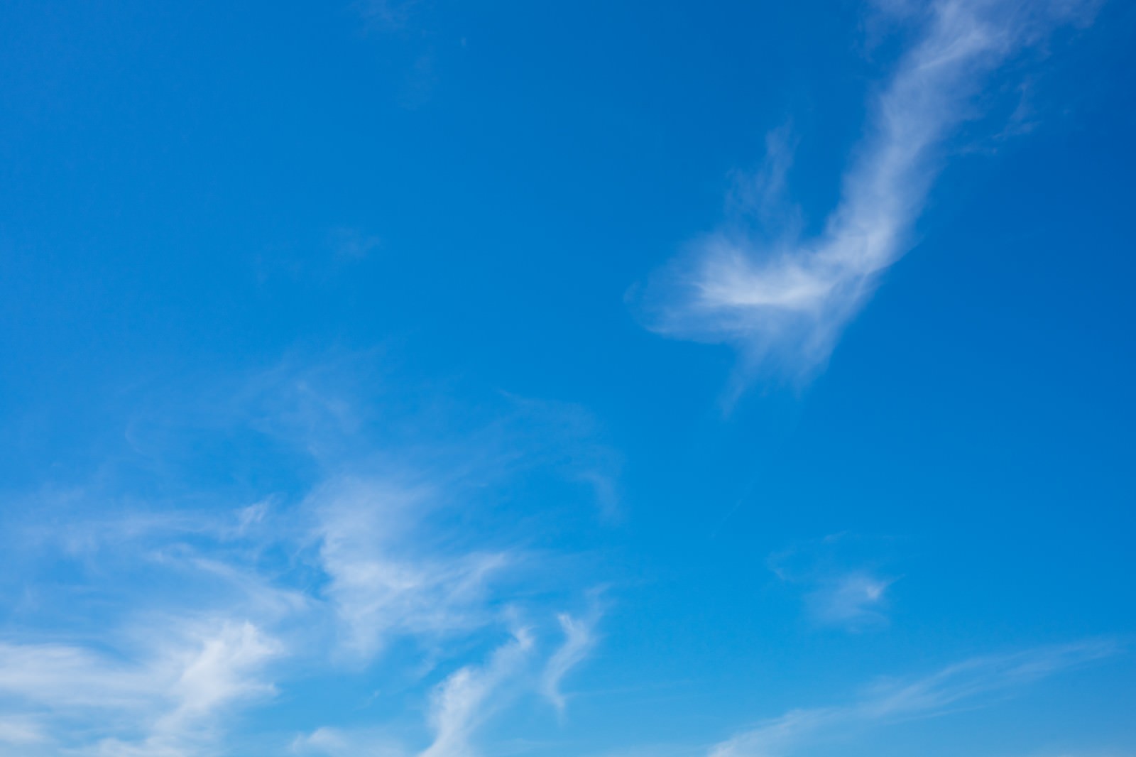 青空に白い積雲が浮かぶ晴れた日の空