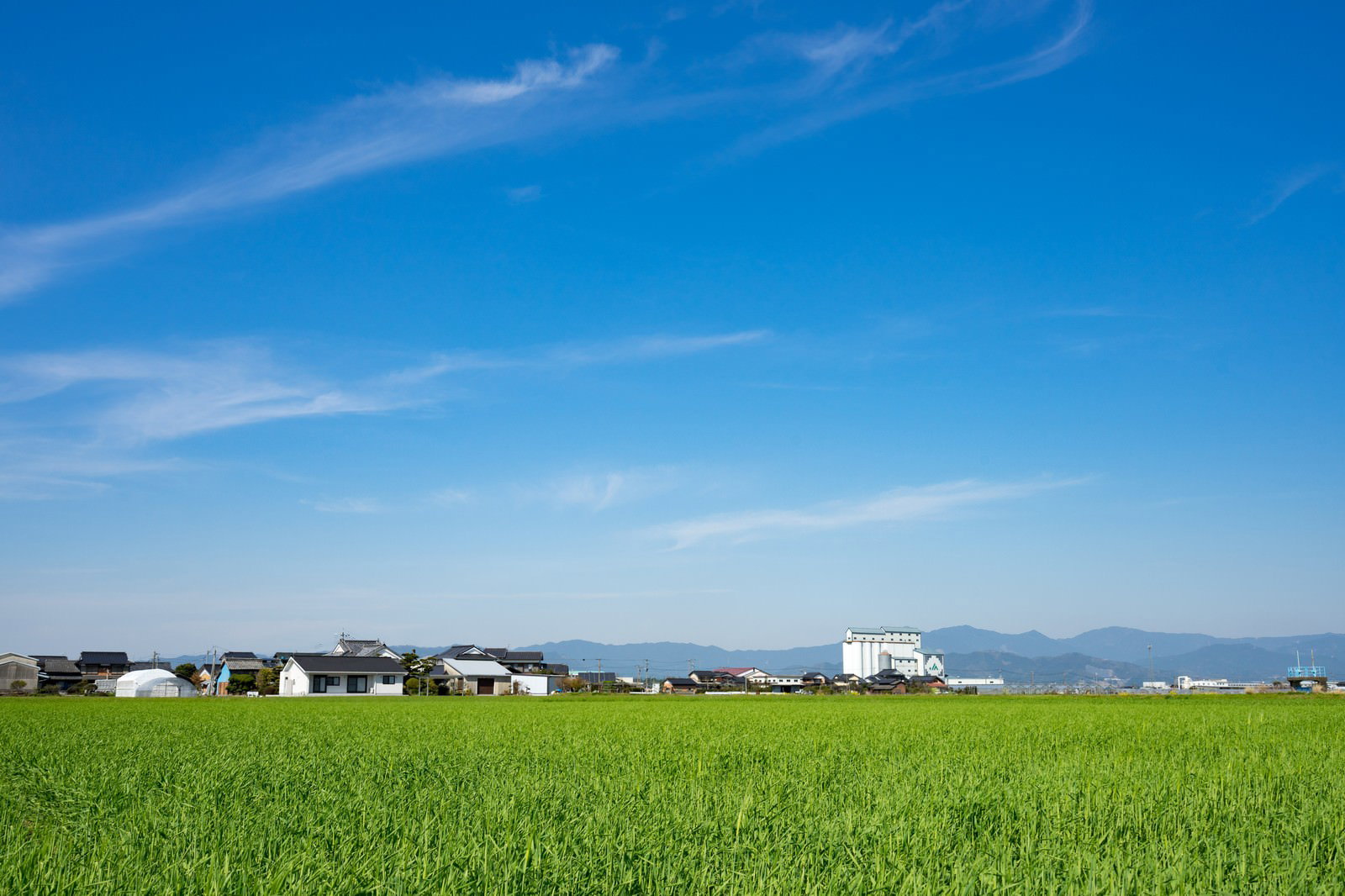 青空の下に広がる大刀洗の田んぼと山並み
