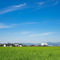 春を迎えた大刀洗の街並みと農家ののどかな風景の写真