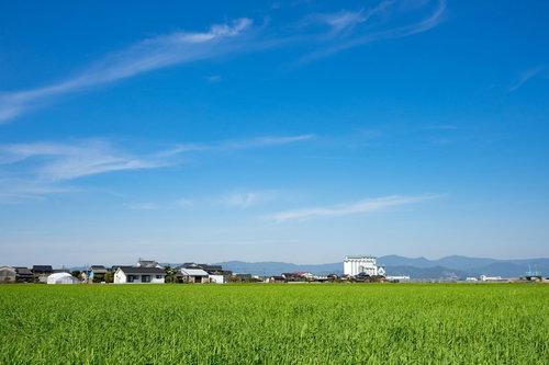 春を迎えた大刀洗の街並みと農家ののどかな風景