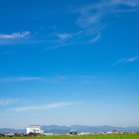 緑の畑が広がる大刀洗の田園風景と青空の写真