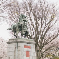 大刀洗公園の菊池武光騎馬像と春の桜、福岡県朝倉郡大刀洗町の歴史的記念碑の写真
