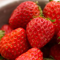 練乳をかけたくなる山盛り苺、新鮮でツヤツヤの赤い果実の写真