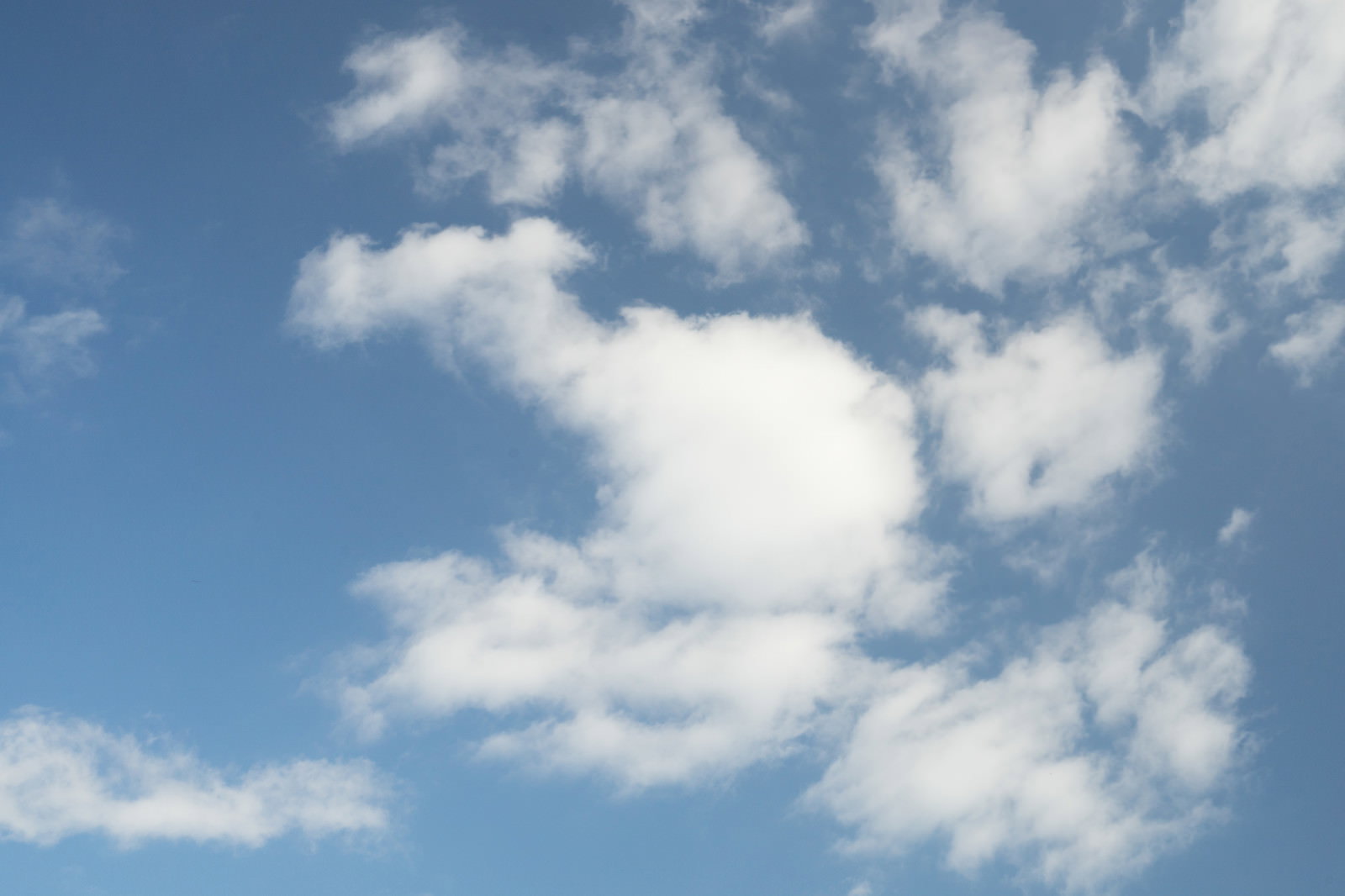 白い雲が浮かぶ晴れた日の青空